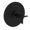 Newport Brass Tolmin(R): Balanced Pressure Shower Trim Plate with Handle. Less showerhead, arm and flange.