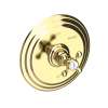 Newport Brass Astor(R): Balanced Pressure Shower Trim Plate with Handle. Less showerhead, arm and flange.