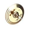 Newport Brass Astor(R): Balanced Pressure Shower Trim Plate with Handle. Less showerhead, arm and flange.