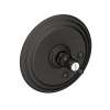 Newport Brass Astor(R): Balanced Pressure Shower Trim Plate with Handle. Less showerhead, arm and flange.