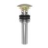 Newport Brass Brasstech: Lavatory Drain