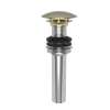 Newport Brass Brasstech: Lavatory Drain