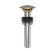 Newport Brass Brasstech: Lavatory Drain