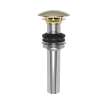 Newport Brass Brasstech: Lavatory Drain