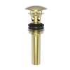Newport Brass Brasstech: Lavatory Drain