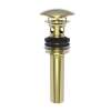 Newport Brass Brasstech: Lavatory Drain
