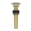 Newport Brass Brasstech: Lavatory Drain