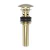 Newport Brass Brasstech: Lavatory Drain