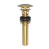 Newport Brass Brasstech: Lavatory Drain