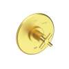 Newport Brass East Linear(R): Balanced Pressure Shower Trim Plate with Handle. Less showerhead, arm and flange.