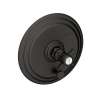 Newport Brass Chesterfield(R): Balanced Pressure Tub & Shower Diverter Plate with Handle. Less Showerhead, arm and flange.