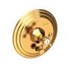 Newport Brass Metropole(R): Balanced Pressure Tub & Shower Diverter Plate with Handle. Less Showerhead, arm and flange.