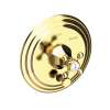Newport Brass Metropole(R): Balanced Pressure Tub & Shower Diverter Plate with Handle. Less Showerhead, arm and flange.