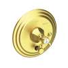 Newport Brass Metropole(R): Balanced Pressure Tub & Shower Diverter Plate with Handle. Less Showerhead, arm and flange.