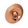 Newport Brass Metropole(R): Balanced Pressure Tub & Shower Diverter Plate with Handle. Less Showerhead, arm and flange.