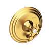 Newport Brass Metropole(R): Balanced Pressure Tub & Shower Diverter Plate with Handle. Less Showerhead, arm and flange.