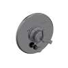Newport Brass Miro: Balanced Pressure Tub & Shower Diverter Plate with Handle. Less Showerhead, arm and flange.