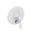 Newport Brass Victoria: Balanced Pressure Tub & Shower Diverter Plate with Handle. Less Showerhead, arm and flange.