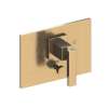 Newport Brass Secant(R): Balanced Pressure Tub & Shower Diverter Plate with Handle. Less Showerhead, arm and flange.