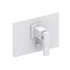 Newport Brass Secant(R): Balanced Pressure Tub & Shower Diverter Plate with Handle. Less Showerhead, arm and flange.