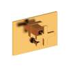 Newport Brass Secant(R): Balanced Pressure Tub & Shower Diverter Plate with Handle. Less Showerhead, arm and flange.