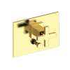 Newport Brass Secant(R): Balanced Pressure Tub & Shower Diverter Plate with Handle. Less Showerhead, arm and flange.