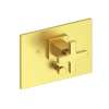 Newport Brass Secant(R): Balanced Pressure Tub & Shower Diverter Plate with Handle. Less Showerhead, arm and flange.
