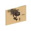Newport Brass Secant(R): Balanced Pressure Tub & Shower Diverter Plate with Handle. Less Showerhead, arm and flange.