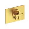 Newport Brass Secant(R): Balanced Pressure Tub & Shower Diverter Plate with Handle. Less Showerhead, arm and flange.