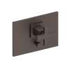 Newport Brass Secant(R): Balanced Pressure Tub & Shower Diverter Plate with Handle. Less Showerhead, arm and flange.
