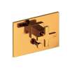 Newport Brass Secant(R): Balanced Pressure Tub & Shower Diverter Plate with Handle. Less Showerhead, arm and flange.