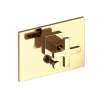 Newport Brass Secant(R): Balanced Pressure Tub & Shower Diverter Plate with Handle. Less Showerhead, arm and flange.