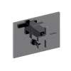 Newport Brass Secant(R): Balanced Pressure Tub & Shower Diverter Plate with Handle. Less Showerhead, arm and flange.