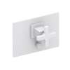Newport Brass Secant(R): Balanced Pressure Tub & Shower Diverter Plate with Handle. Less Showerhead, arm and flange.
