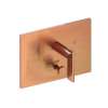Newport Brass Secant(R): Balanced Pressure Tub & Shower Diverter Plate with Handle. Less Showerhead, arm and flange.