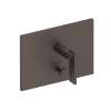 Newport Brass Secant(R): Balanced Pressure Tub & Shower Diverter Plate with Handle. Less Showerhead, arm and flange.