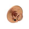 Newport Brass East Linear(R): Balanced Pressure Tub & Shower Diverter Plate with Handle. Less Showerhead, arm and flange.