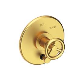 Newport Brass East Linear(R): Balanced Pressure Tub & Shower Diverter Plate with Handle. Less Showerhead, arm and flange.