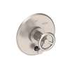 Newport Brass East Linear(R): Balanced Pressure Tub & Shower Diverter Plate with Handle. Less Showerhead, arm and flange.