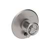 Newport Brass East Linear(R): Balanced Pressure Tub & Shower Diverter Plate with Handle. Less Showerhead, arm and flange.