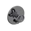 Newport Brass East Linear(R): Balanced Pressure Tub & Shower Diverter Plate with Handle. Less Showerhead, arm and flange.