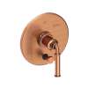 Newport Brass Taft: Balanced Pressure Tub & Shower Diverter Plate with Handle. Less Showerhead, arm and flange.