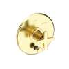 Newport Brass Dorrance(R): Balanced Pressure Tub & Shower Diverter Plate with Handle. Less Showerhead, arm and flange.