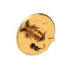 Newport Brass Dorrance(R): Balanced Pressure Tub & Shower Diverter Plate with Handle. Less Showerhead, arm and flange.
