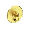 Newport Brass Dorrance(R): Balanced Pressure Tub & Shower Diverter Plate with Handle. Less Showerhead, arm and flange.