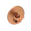Newport Brass Dorrance(R): Balanced Pressure Tub & Shower Diverter Plate with Handle. Less Showerhead, arm and flange.