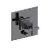 Newport Brass Malvina(R): Balanced Pressure Tub & Shower Diverter Plate with Handle