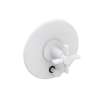 Newport Brass Pardees(R): Balanced Pressure Tub & Shower Diverter Plate with Handle. Less Showerhead, arm and flange.