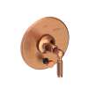 Newport Brass Clemens: Balanced Pressure Tub & Shower Diverter Plate with Handle. Less Showerhead, arm and flange.