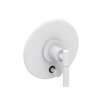 Newport Brass Muncy: Balanced Pressure Tub & Shower Diverter Plate with Handle. Less Showerhead, arm and flange.